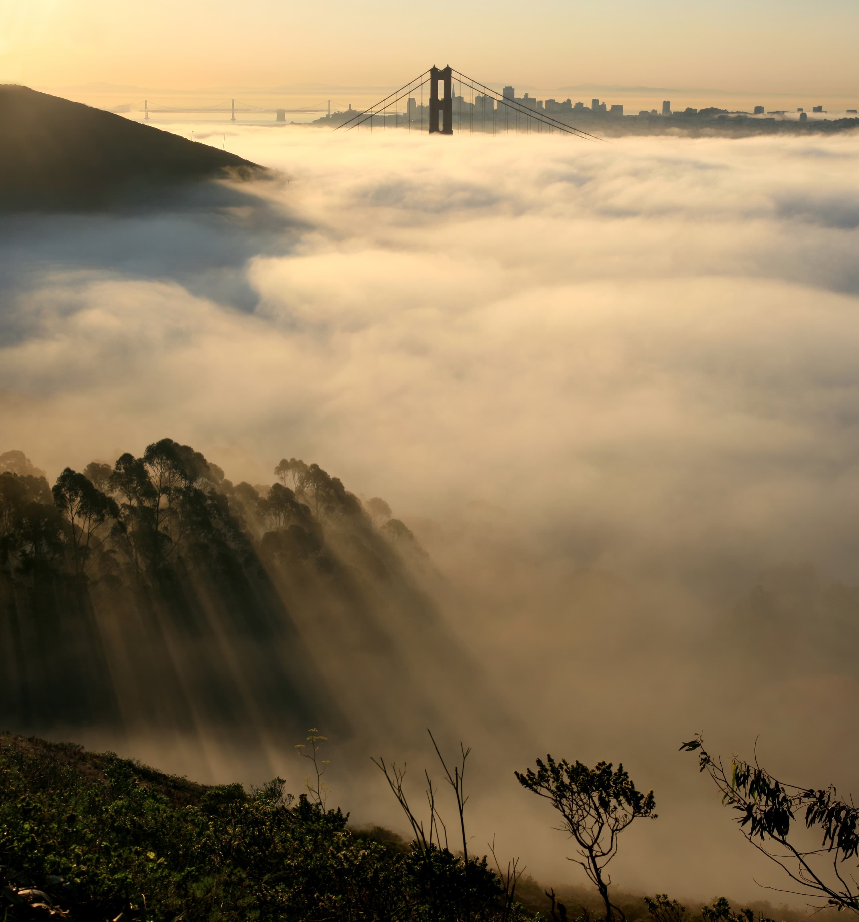 Golden Gate Bridge with San Francisco skyline